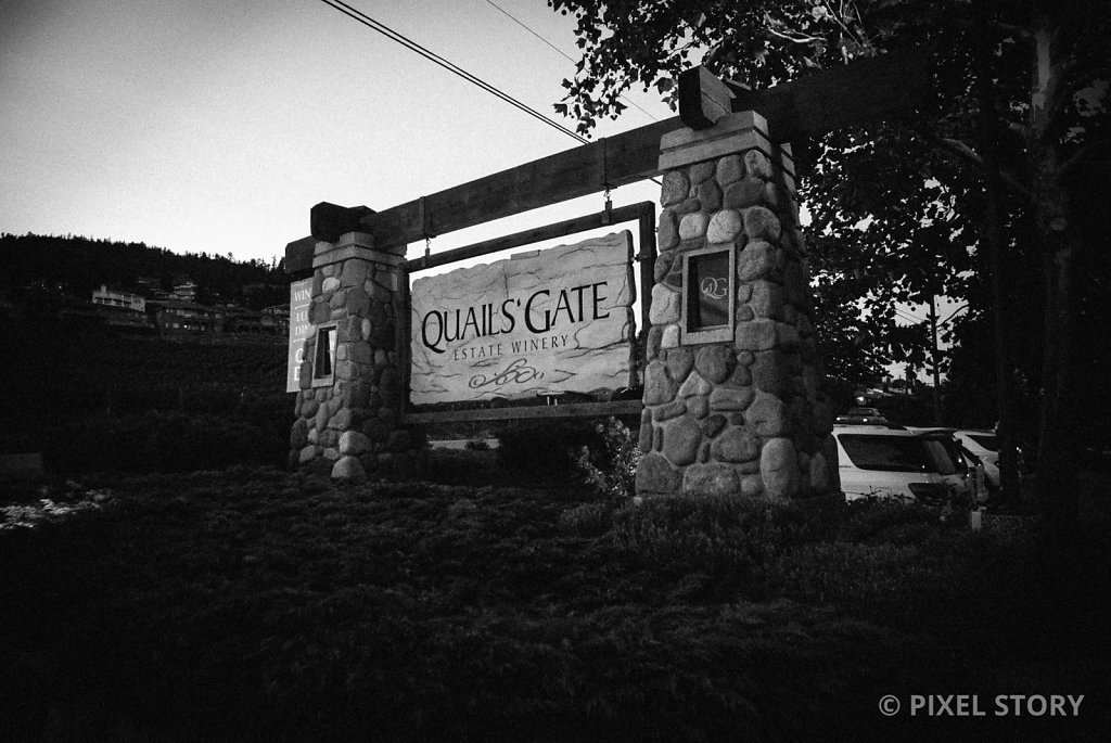 Kelowna Wedding Photographers Quails 090822 2428